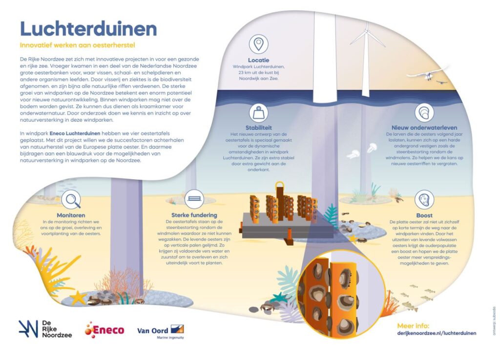 Luchterduinen Infographic
